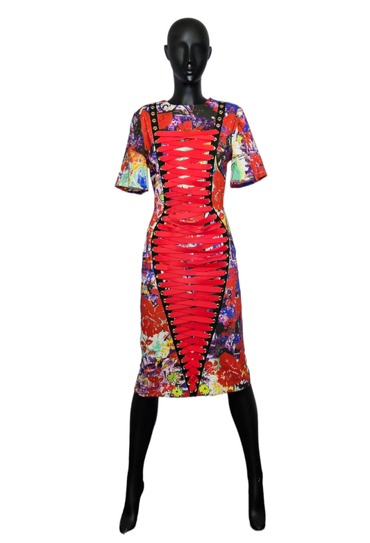 Bodycon Lace-Up Front Multicolor print Dress